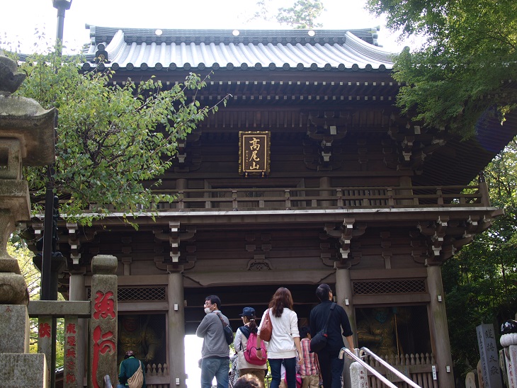 Hasedera