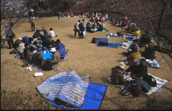 piknik w Okutama