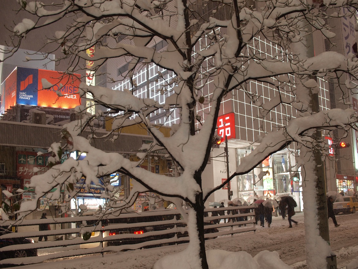 Śnieg w Shinjuku